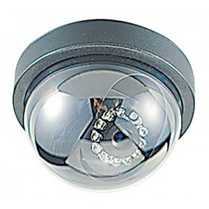 Black and White Camera Dome with Lens