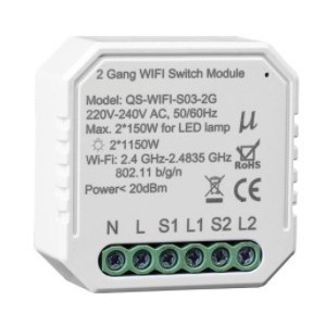 ON/OFF 2X150W WIFI-RF 2 Gang Smart Switch Module