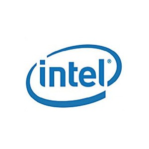 Intel Maintenance Free Backup Unit RAID Controller