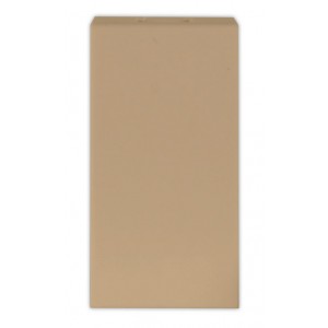 ORION Blank Cover Plate 1M Champagne (22.5x45mm)
