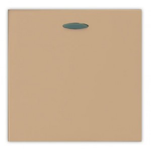 Orion 2M 16A Single One Way Switch - Champagne (45x45mm)