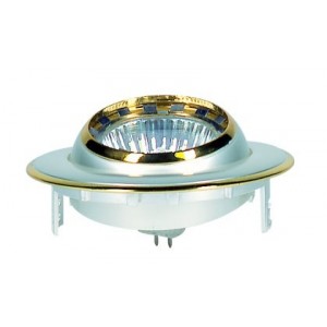 Pearl Eyeball Lv Downlighter 20-50W