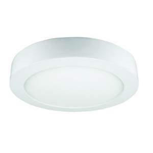 12W Warm White Round Surface Mount LED Light 170x35mm
