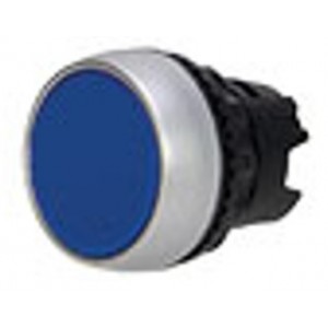22mm Blue Flush Momentary Push Button Head