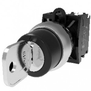 22MM 2 Position Key Switch Head Maintained Key Removable All