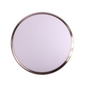 230V 24W Silver LED Cieling Light DIA.300MM