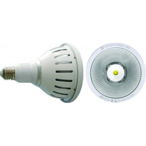 18W Cool White E27 PAR38 LED Lamp 120-Degree Beam IP65
