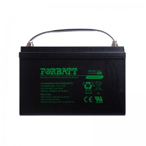 Forbatt 12V Gel 100Ah VRLA Battery