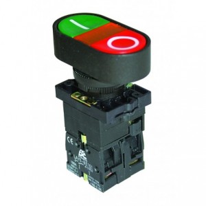 Double Pushbutton with Light C/W NO and NC Contacts