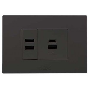 Black Orion 2X 2.1A USB Charger Outlet 2X4 Pre-Assembled