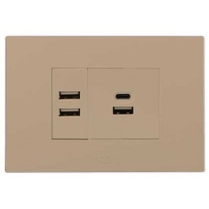 2X 2.1A USB Charger Outlet 2X4 Champagne Orion PRE-ASS.