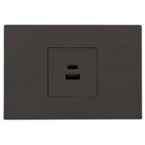 Usba+usbc 2.1A Outlet 2X4 Slate Orion PRE-ASS.