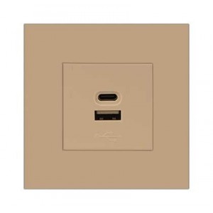 Champagne Orion Pre-Ass 3x3 USB Charger with USB-C and 2.1A Ports