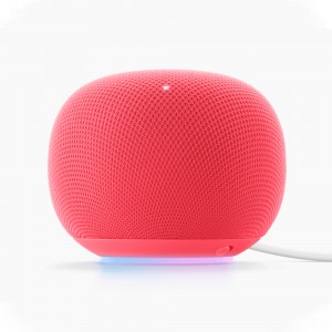 Google Home Speaker (2026)
