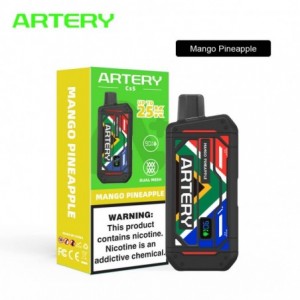 ARTERY CS5 25K - Mango Pineapple 50mg