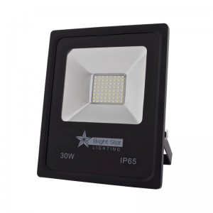 30 Watt LED Floodlight 6000K 1500 Lumins