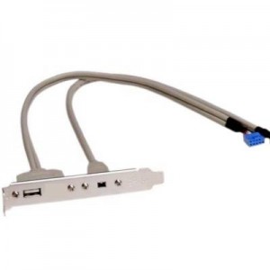 Asus Addon Accessory USB x1 + FireWire Mini 4-Pin