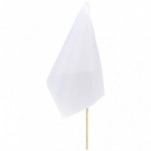 Champion Small Hand Flag 300mm x 200mm with Wooden Dowel