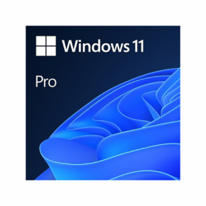 Microsoft Windows 11 Professional 64bit ESD Digital License Key