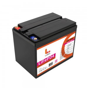 Lalela Lithium LifePO4 Battery - 12V / 50Ah / 640Wh (6 Month Warranty) - Slightly Used - Still Healthy