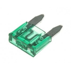 Automotive Fuse Mini-Blade 30A 32V Green AST30