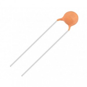Ceramic Capacitor Disk 1pF 50V P5mm CC1-F5NPO2B1RODSP