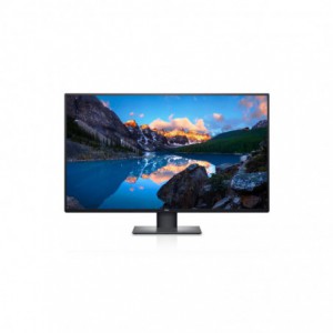 Dell UltraSharp U4320Q 42.5-inch 3840 x 2160p 4k UHD 16:9 60Hz 5ms IPS LCD Monitor