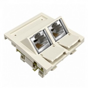 SNAP Cat6 Angled Module 50x50 STP Dual Port