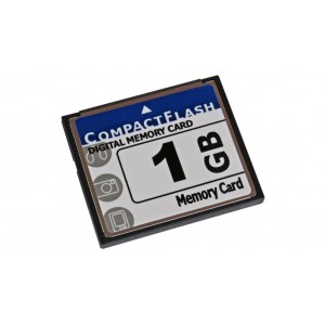 Legent 1GB CompactFlash (CF) Memory Card