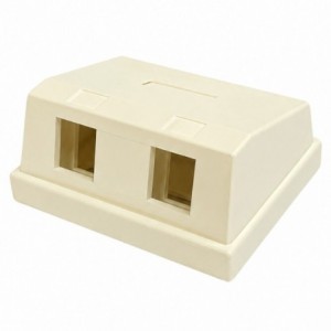RJ45 Dual Net Box