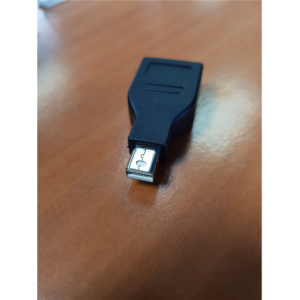DP Female to Mini DP Male Adapter