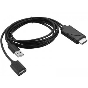 Microworld HDMI Male to USB Female Converter