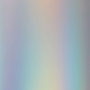 Cricut 2008045 Joy Insert Cards 12-pack - Black/Silver Holographic