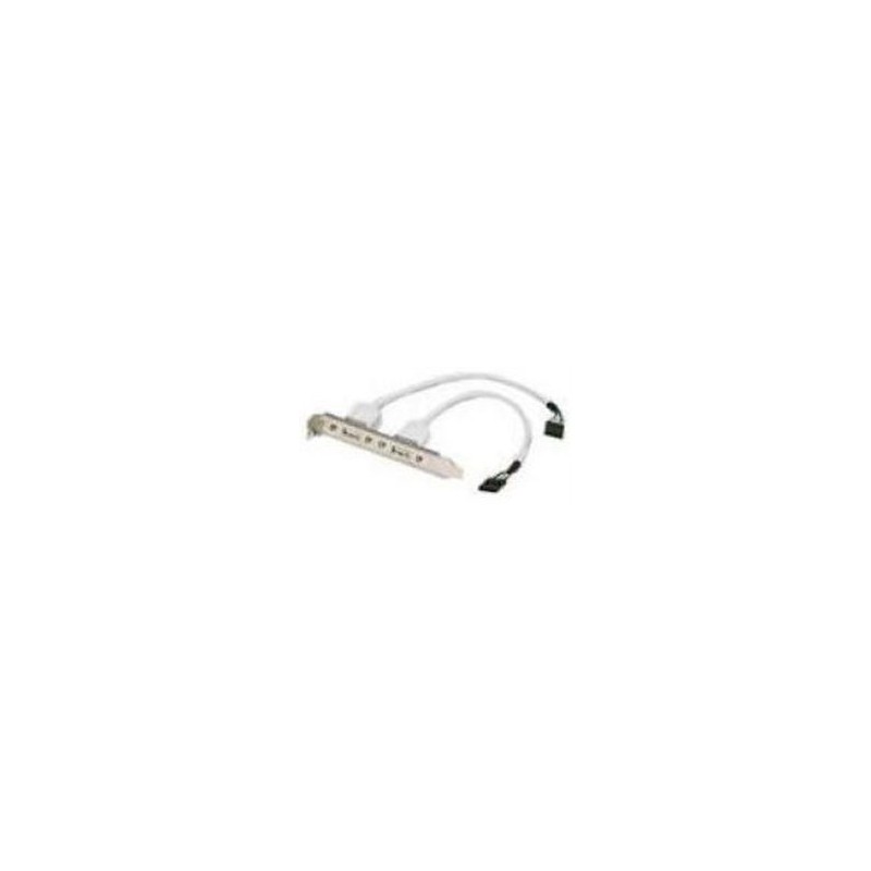GC-USB-2P GIGABYTE 10-Pin 2-Port USB cable