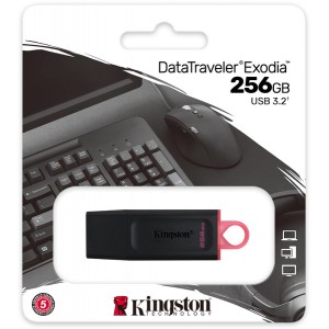 Kingston Technology - DTX/256GB DataTraveler Exodia 256GB USB 3.2 Flash Drive