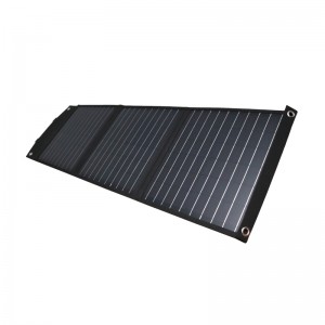 Gizzu 60W Solar Panel