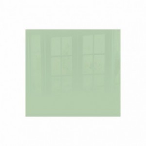 Parrot Pastel Green Hob Splashback Glass - 598mm X 650mm