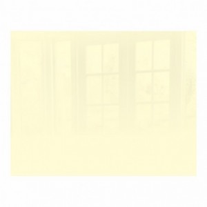 Parrot Metal Champagne Hob Splashback Glass - 898mm X 700mm