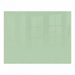 Parrot Pastel Green Hob Splashback Glass - 898mm X 700mm