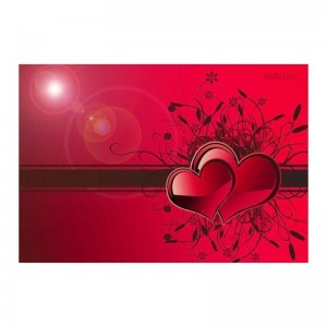 Astrum NB200 Notebook Sticker 15.6" 3D Hearts