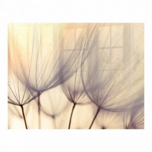 Parrot Dandelion Floret Hob Splashback - 898 X 700 X 6mm