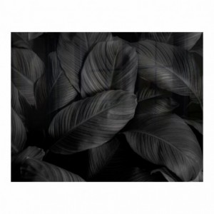 Parrot Feathers Hob Splashback (898 X 700 X 6mm)