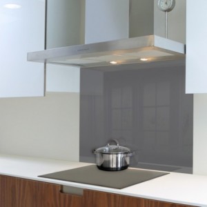 Parrot Gun Metal Hob Splashback (898 X 700 X 6mm)