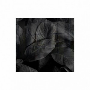 Parrot Feathers Hob Splashback (598 X 650 X 6mm)