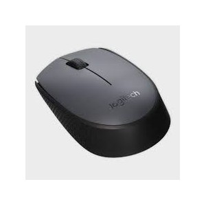 Logitech M171 Black Wireless Mouse