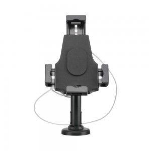 LinkQnet 2-in-1 Multi-Purpose Anti-theft Tablet Kiosk - Desk Stand or Wall Mount (PAD21-02)
