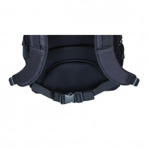 Targus Bag: Campus Backpack 15 - 16'', Nylon, Black, 2.5 kg, Limited Lifetime warranty