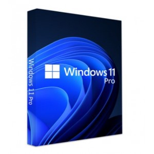 Microsoft windows 11 professional  - fpp - hav-00164.