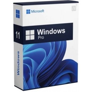 Windows 11 Professional Full Install - Download. FQC-10572