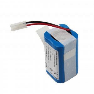 Vendita Online di Batterie per Aspirapolvere